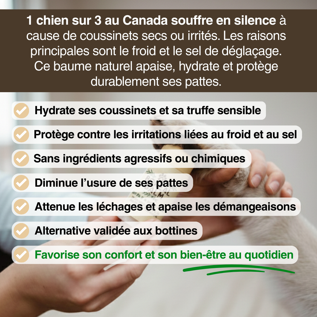 Boreal Balm™ - Baume hydratant & protecteur pour chien