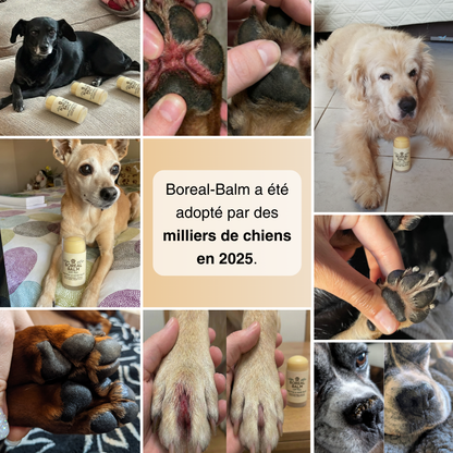Boreal Balm™ - Baume hydratant & protecteur pour chien