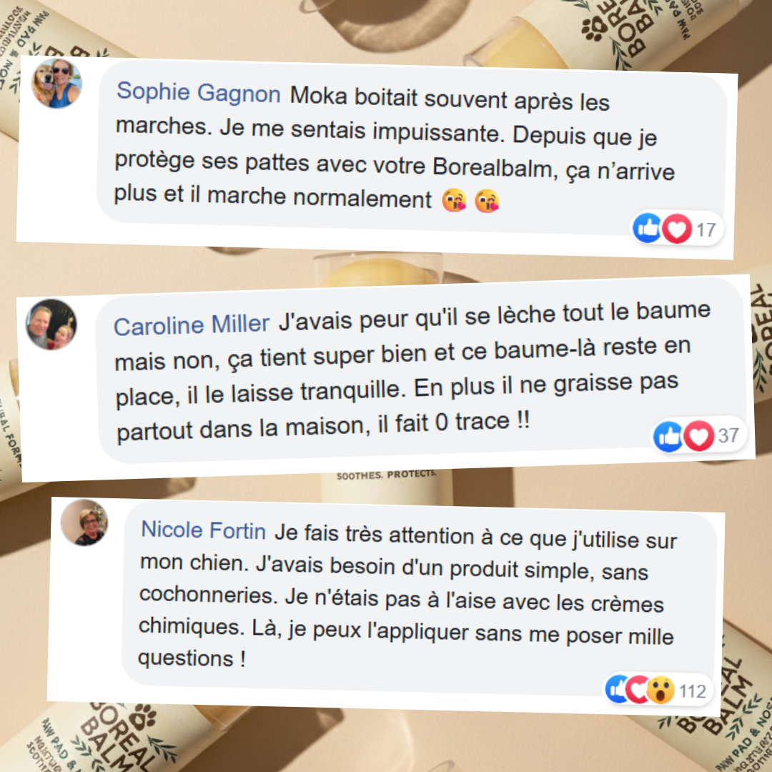 Boreal Balm™ - Baume hydratant & protecteur pour chien