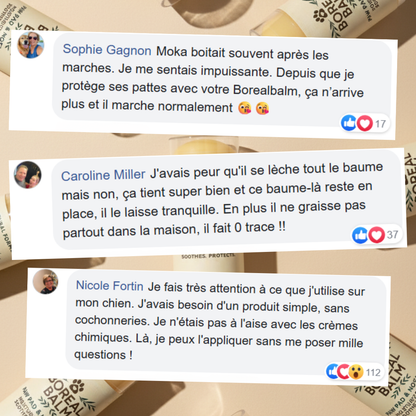 Boreal Balm™ - Baume hydratant & protecteur pour chien
